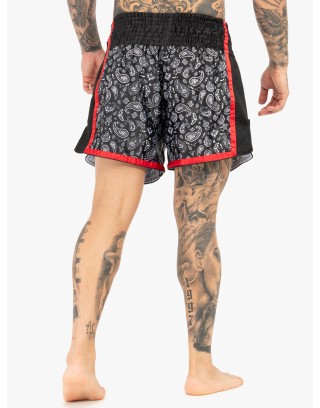 Tapout CAMINO Pre-Order