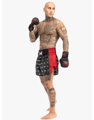 Tapout SORRENTO Pre-Order