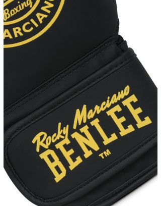 Benlee STARTER SET BOXGATE Pre order
